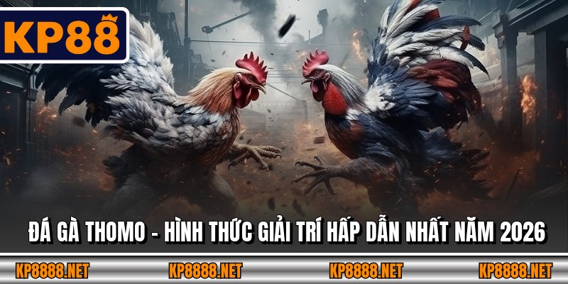 Đá Gà Thomo - Hình Thức Giải Trí Hấp Dẫn Nhất Năm 2026