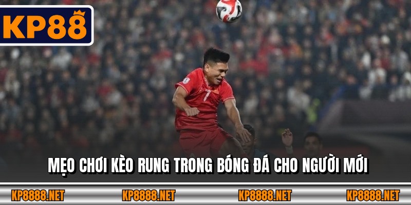 Mẹo chơi kèo rung trong bóng đá cho người mới