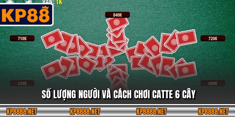 Số lượng người và cách chơi Catte 6 cây