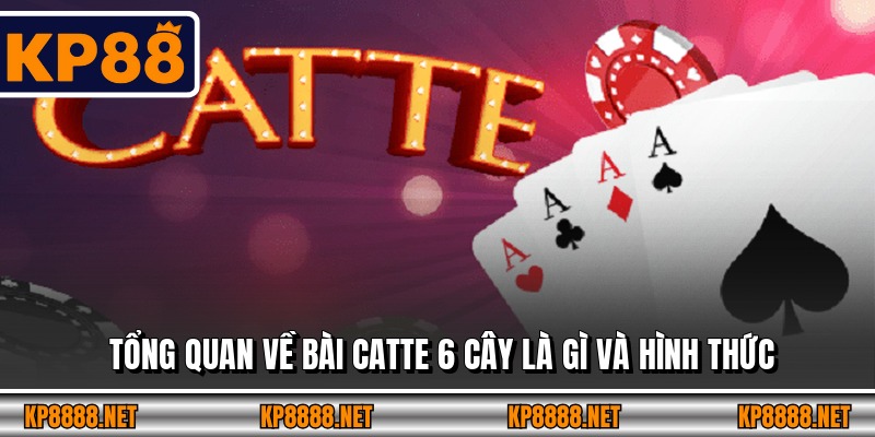 Tổng quan về bài Catte 6 cây là gì và hình thức 