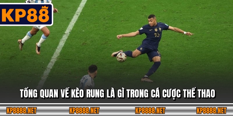 Tổng quan về kèo rung là gì trong cá cược thể thao